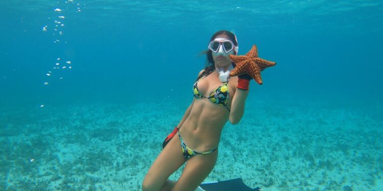 Lobster and Conch of the BAHAMAS| Pt2 Preview