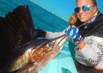 Angry Sailfish ATTACKS While Deep Sea Fishing!