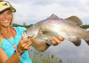 Fishing for the RAREST FISH in North America! ONE Place to Catch Them!