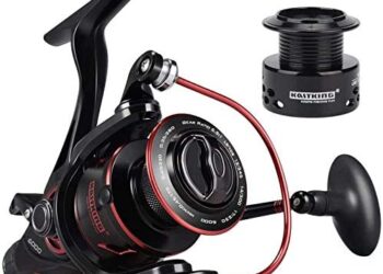KastKing Sharky Baitfeeder III Spinning Reel 10+1 Shielded Stainless Steel BB – Carbon Fiber Drag for Live Liner Bait Fishing Action
