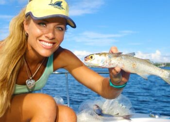 The SECRET Revealed! How To Catch BAIT FISH & Micro Fish Video!