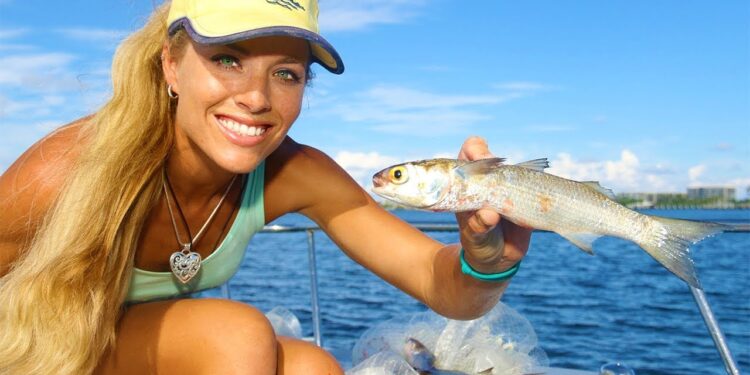The SECRET Revealed! How To Catch BAIT FISH & Micro Fish Video!
