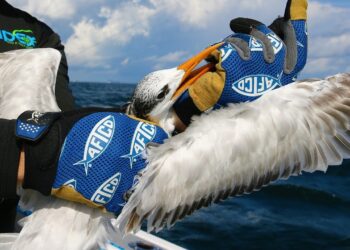 This THIEF Stole My Bait & GOT HOOKED! Deep Sea Multi-Species Fishing!