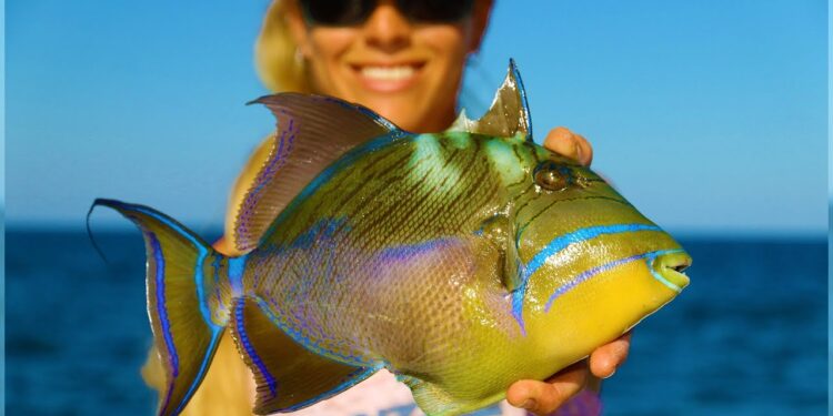 UNLOCKING SECRETS of the Most Beautiful Fish in the Sea