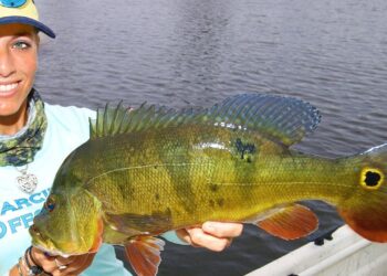 We Caught Over 30+ Fish! NON STOP Action!