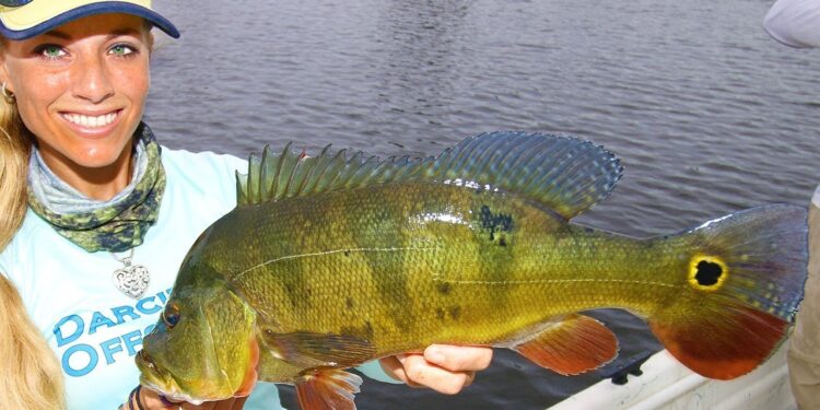 We Caught Over 30+ Fish! NON STOP Action!