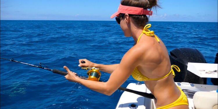 YELLOWTAIL SNAPPER | Preview