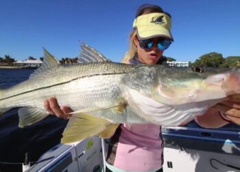 CATCH FISH the easy way…Trolling Inshore for Keeper Snook and MORE!