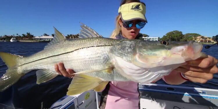 CATCH FISH the easy way…Trolling Inshore for Keeper Snook and MORE!