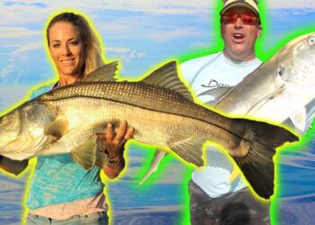 CRAZY INSHORE BITE! Fishing for MONSTER Snook and Jack with Live Mullet