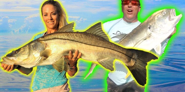 CRAZY INSHORE BITE! Fishing for MONSTER Snook and Jack with Live Mullet