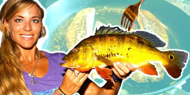 Catch and Cook PEACOCK BASS From My BACKYARD!