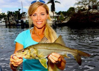 Catching NEW SPECIES + Personal Best CATFISH Inshore Fishing!