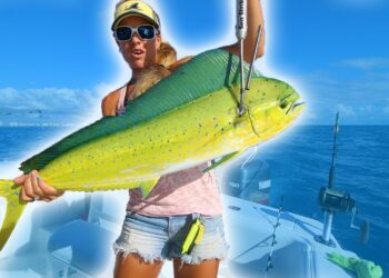 EPIC Offshore Mahi Fishing! Catching BEAUTIFUL FISH for Dinner!