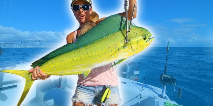 EPIC Offshore Mahi Fishing! Catching BEAUTIFUL FISH for Dinner!