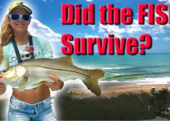 Inshore Fishing Post Hurricane Irma Update! DID THE FISH SURVIVE?