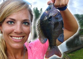 Micro Fishing in the Backyard! HOW TO CATCH BAIT FISH!
