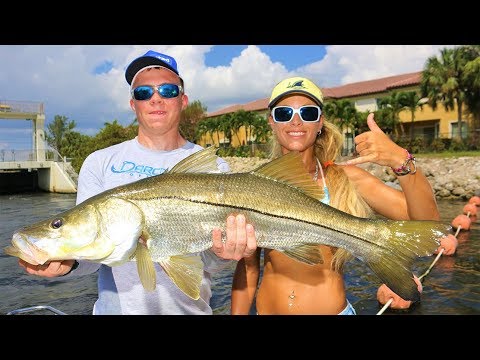 My DAD & future USMC Brother Catch BIG Inshore Snook during the Mullet Run!
