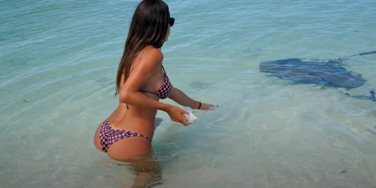 PRIVATE ISLAND in the BAHAMAS| Lobster Cookout & stingrays