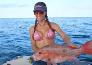 RED SNAPPER & GROUPER Fishing!