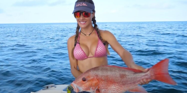 RED SNAPPER & GROUPER Fishing!