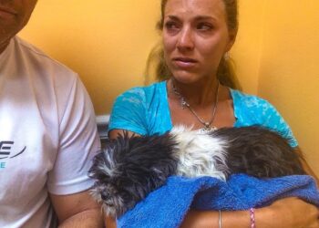 TOUGH DAY: We Had to Put Our Pet Dog to Sleep, Very SAD!