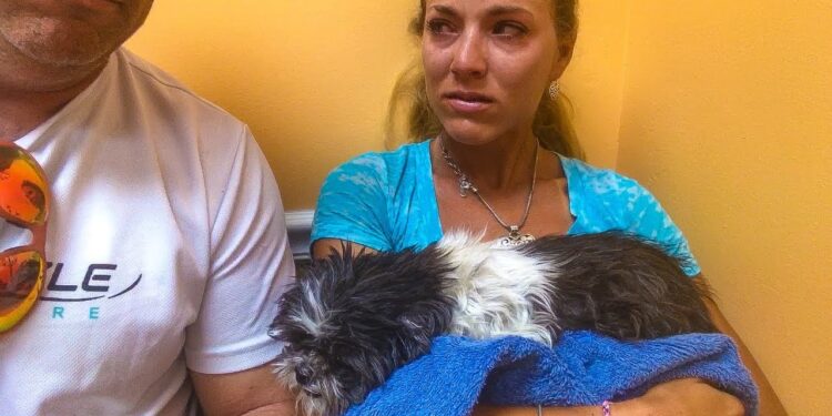 TOUGH DAY: We Had to Put Our Pet Dog to Sleep, Very SAD!