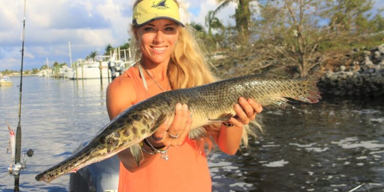 Unexpected & RARE CATCH! Freshwater Fish Caught in Saltwater Canal Inshore Fishing!
