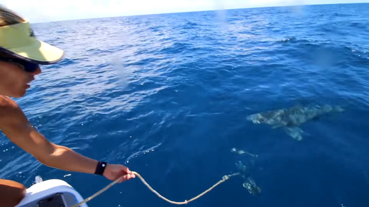 Big SHARKS RUIN fishing trip! – Girl Fishing