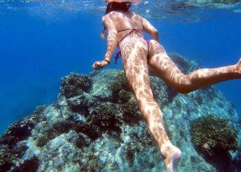 CRYSTAL CLEAR dive in Mexico