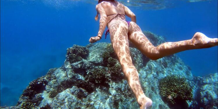 CRYSTAL CLEAR dive in Mexico
