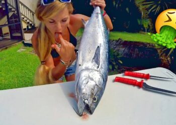 Catch and Cook TRASH FISH! First Time, Surprising Results!