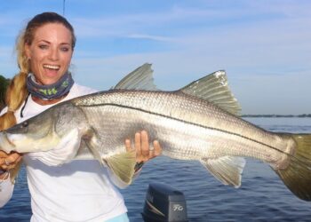 Catching MONSTER Snook, the fish that changes it’s sex!