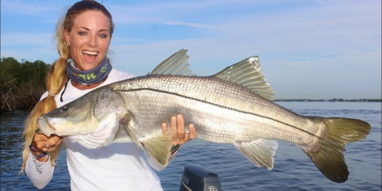 Catching MONSTER Snook, the fish that changes it’s sex!
