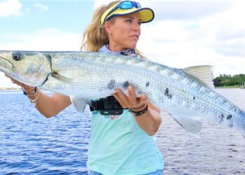 Giant Toothy BARRACUDA Surprise Catch!