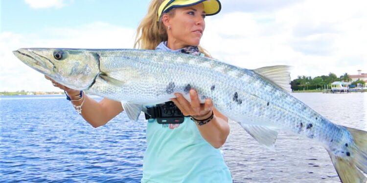 Giant Toothy BARRACUDA Surprise Catch!