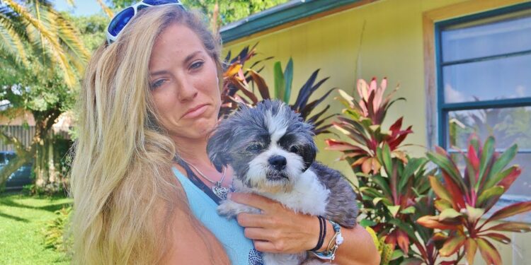 I need your HELP!! My Dog is SICK, What’s Wrong with Bubba?