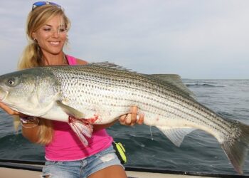Most INSANE GIANT Striped Bass Fishing! (Montauk, New York)