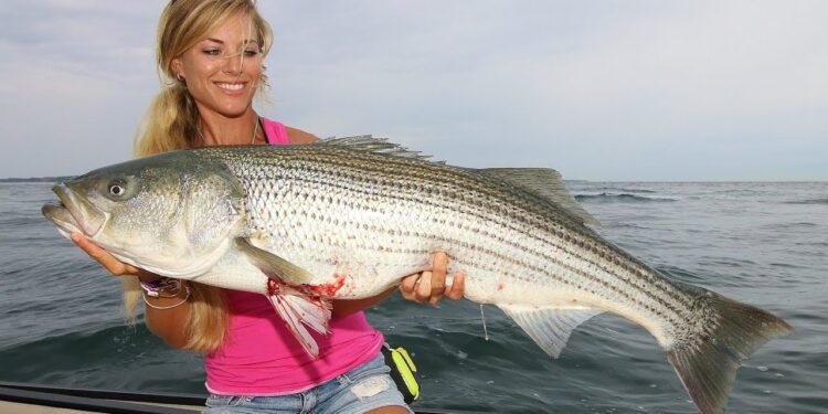 Most INSANE GIANT Striped Bass Fishing! (Montauk, New York)