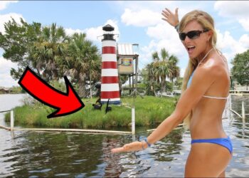 Searching for MONKEYS in Florida!? Found on an ISLAND in a RIVER!