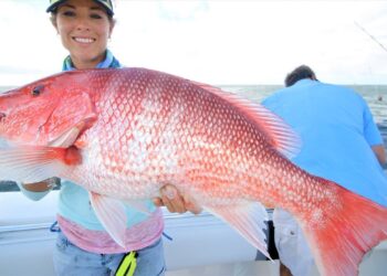 BIG Red Snapper at the Fillet Table in Louisiana