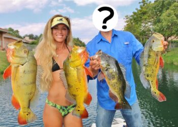 Florida Freshwater Bass Fishing in the Canals of Palm Beach