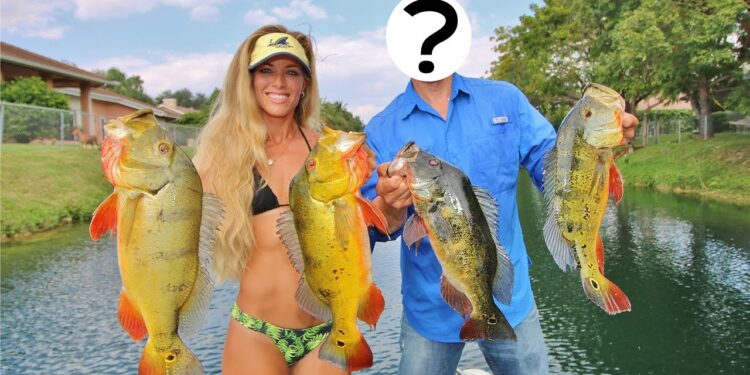 Florida Freshwater Bass Fishing in the Canals of Palm Beach