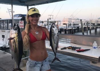 Live at the Fillet Table with Blackfin Tuna & Dockside Belly Flop for 50 Bucks!