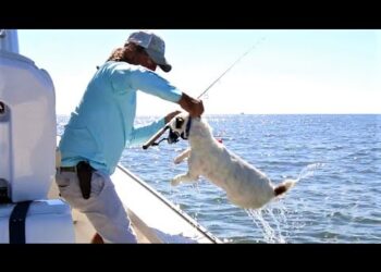 Louisiana Trout & Redfish Fishing ft. This Crazy Cute Dog