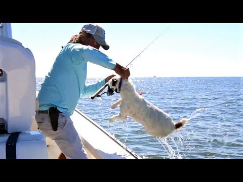 Louisiana Trout & Redfish Fishing ft. This Crazy Cute Dog