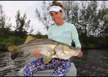 MONSTER Snook in Jupiter !