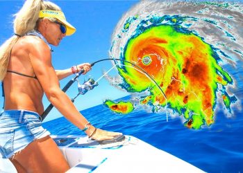 Fishing Florida After Hurricane Nicole! NEW 2022 Yellowtail Catch & Cook