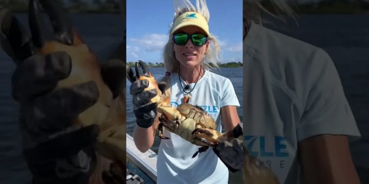Girl Catches Massive Crab!