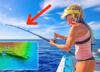 Girl Drops Baits on Florida’s Best Ledge and Caught This! (Catch & Cook)